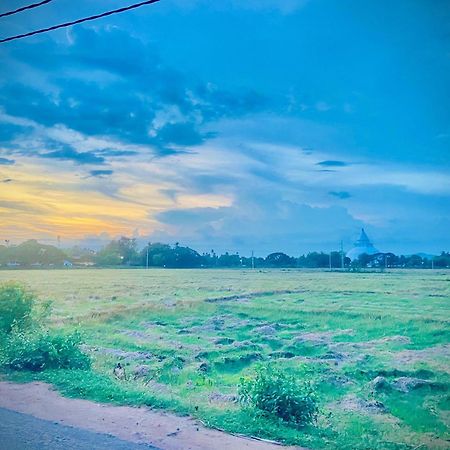 טיסמהרמה Coconut Island Yala Safari Place מראה חיצוני תמונה