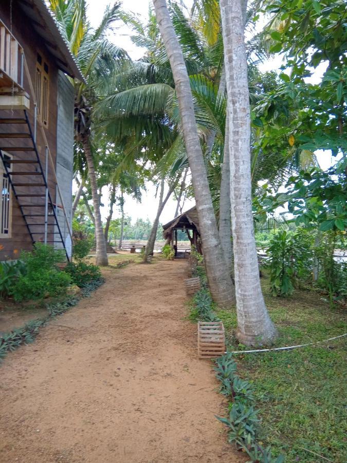 טיסמהרמה Coconut Island Yala Safari Place מראה חיצוני תמונה