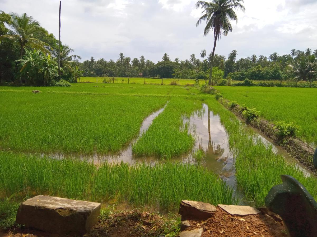 טיסמהרמה Coconut Island Yala Safari Place מראה חיצוני תמונה