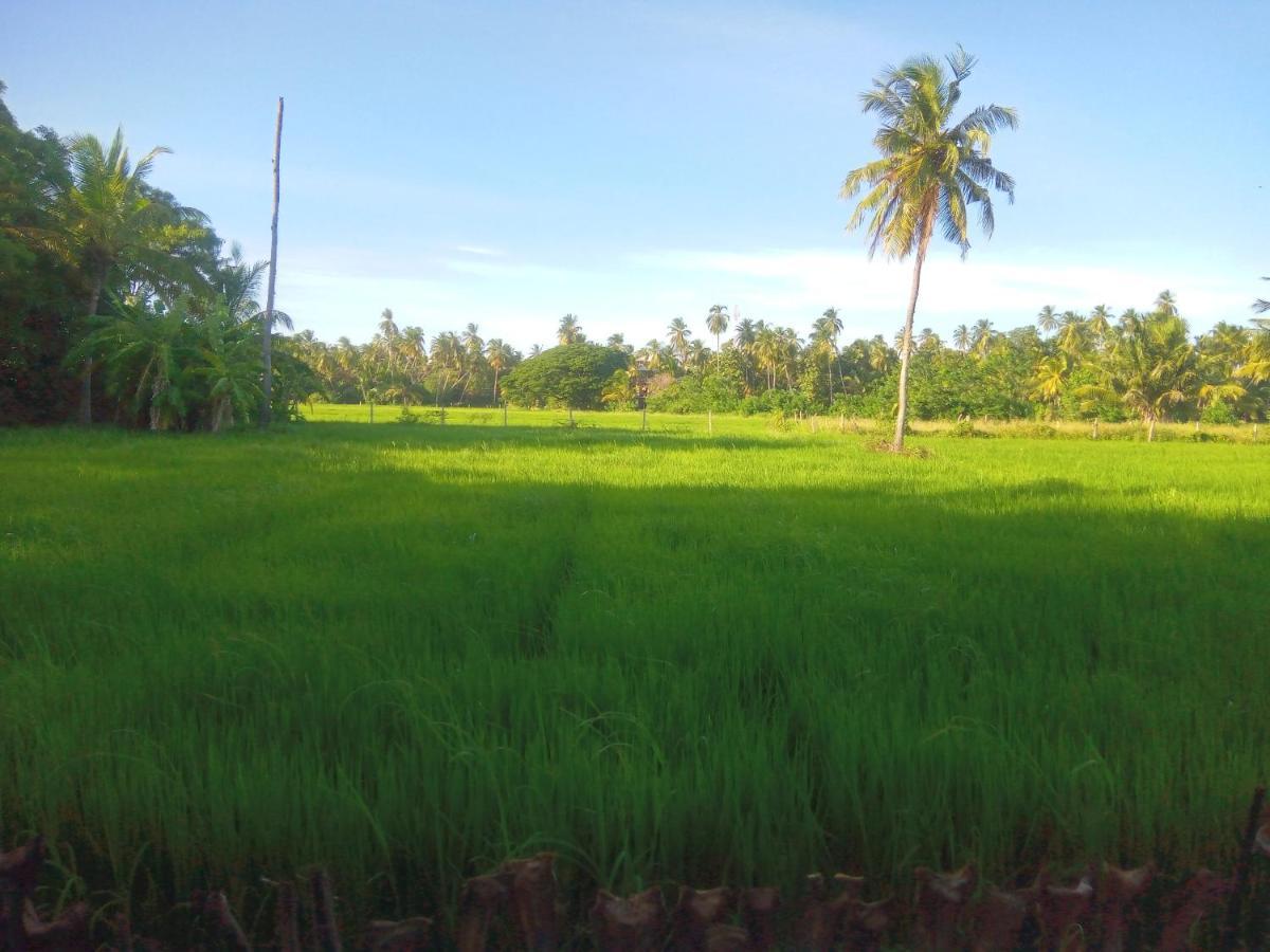 טיסמהרמה Coconut Island Yala Safari Place מראה חיצוני תמונה