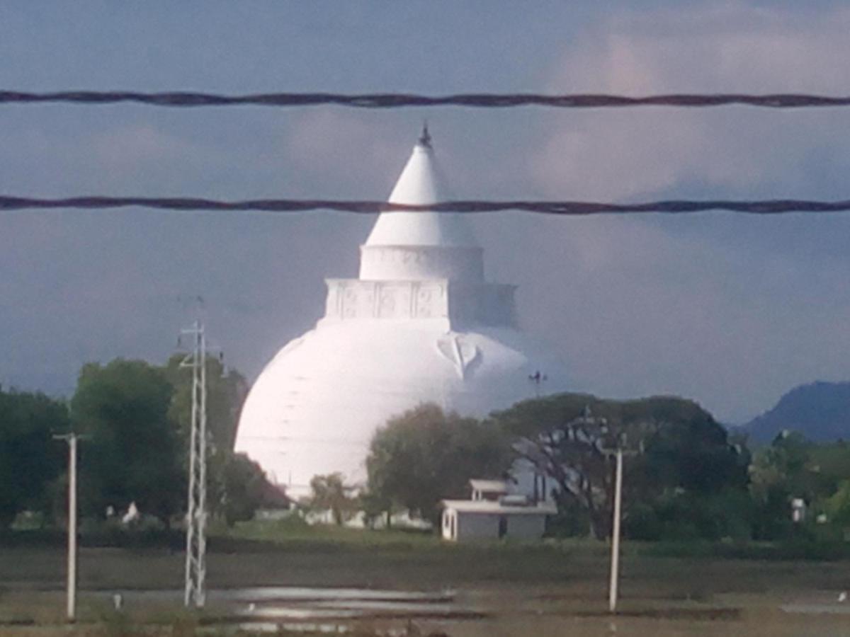 טיסמהרמה Coconut Island Yala Safari Place מראה חיצוני תמונה