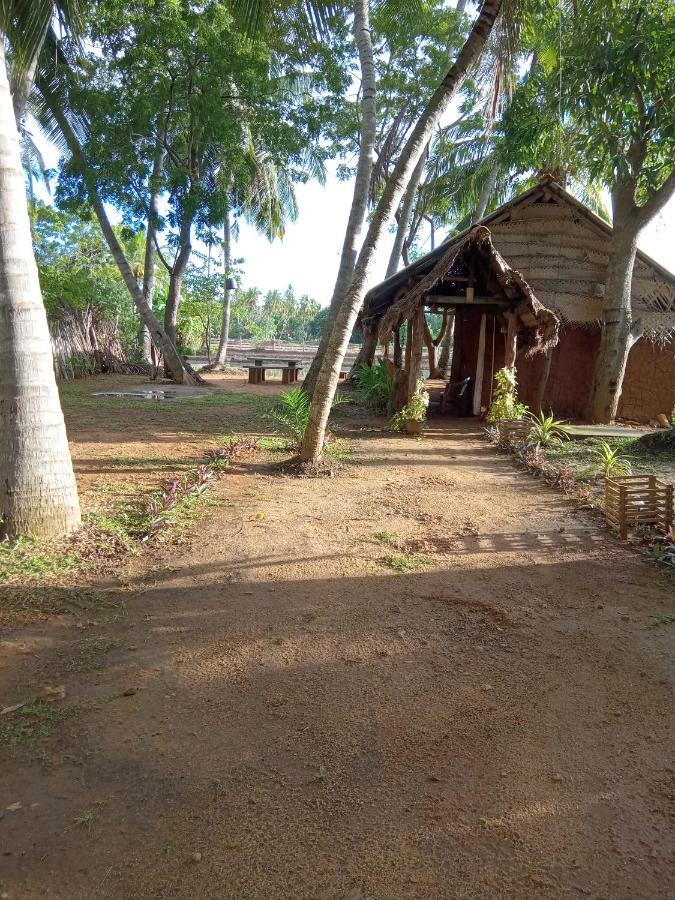 טיסמהרמה Coconut Island Yala Safari Place מראה חיצוני תמונה
