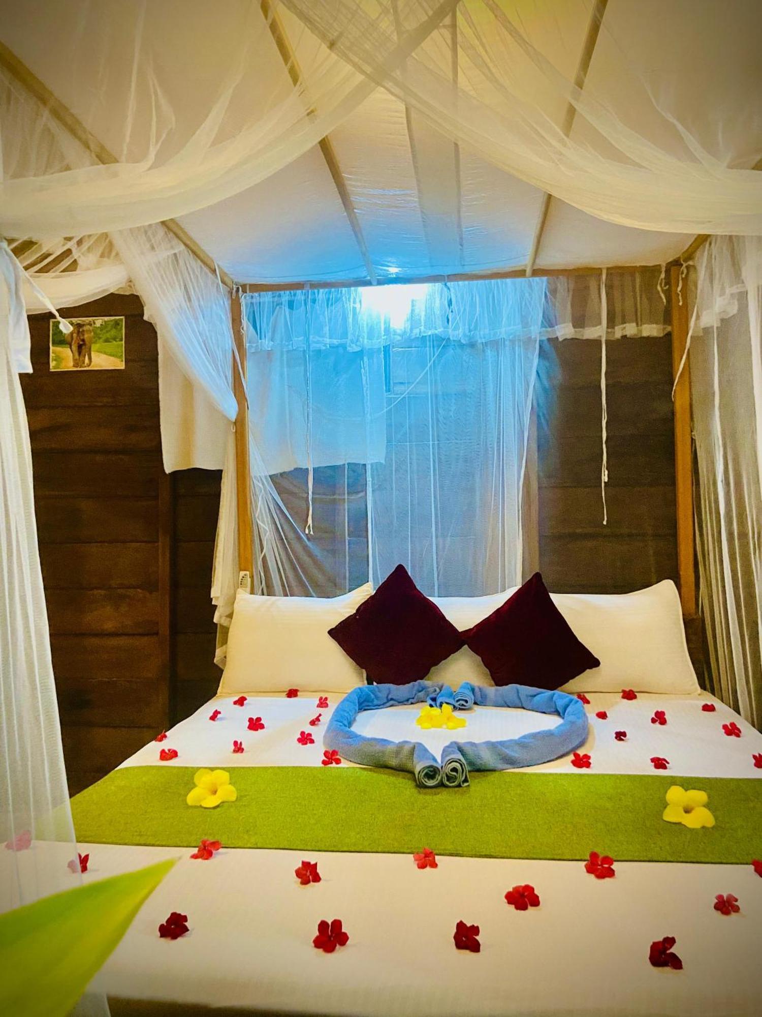 טיסמהרמה Coconut Island Yala Safari Place מראה חיצוני תמונה