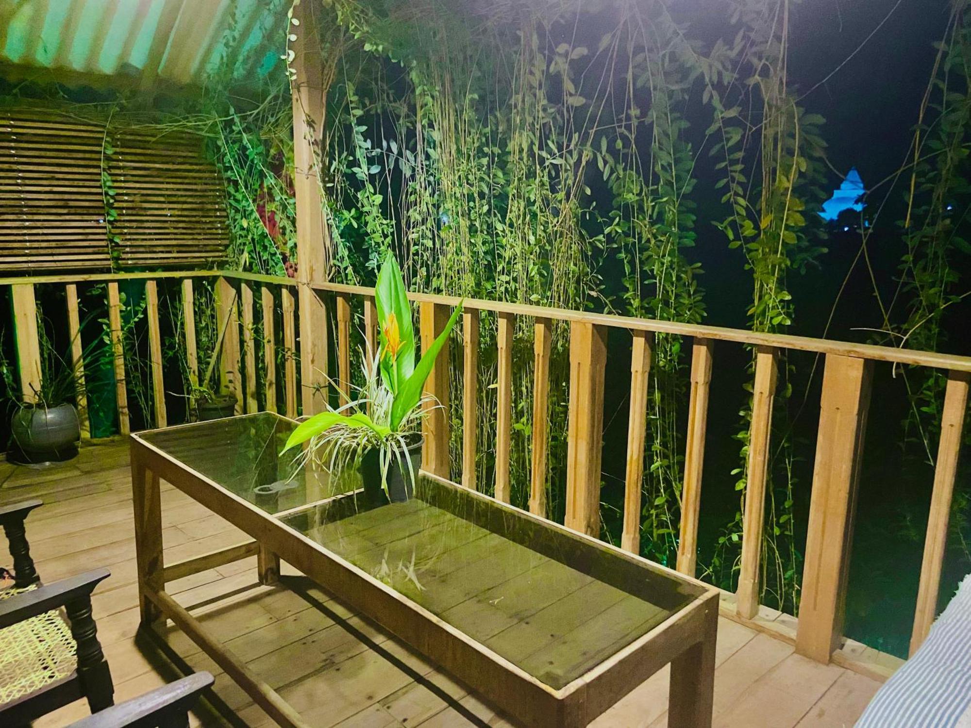 טיסמהרמה Coconut Island Yala Safari Place מראה חיצוני תמונה