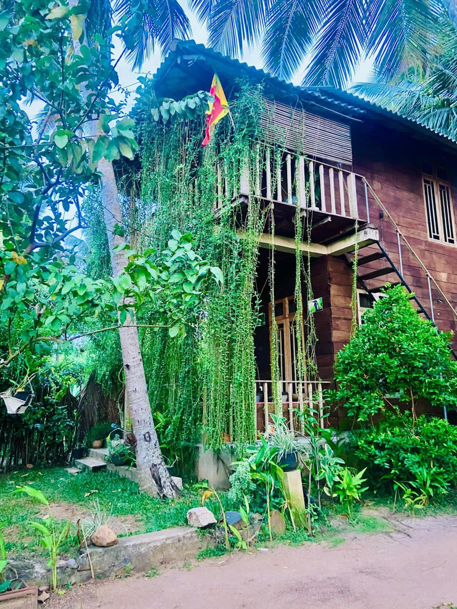 טיסמהרמה Coconut Island Yala Safari Place מראה חיצוני תמונה
